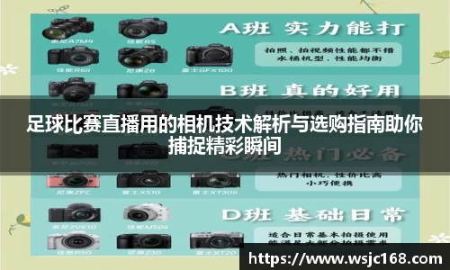 星空XK体育